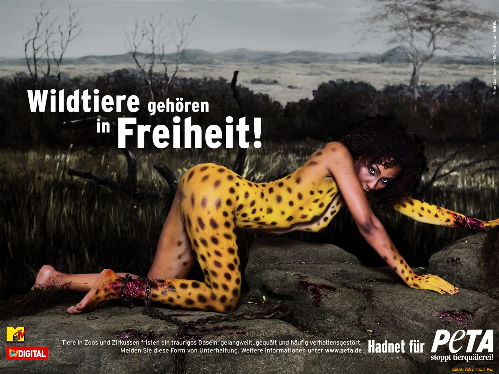 peta, , people, for, the, ethical, treatment, of, animals